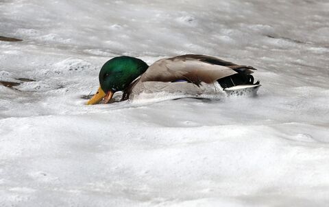 Wechselhaftes Wetter an der Seenplatte