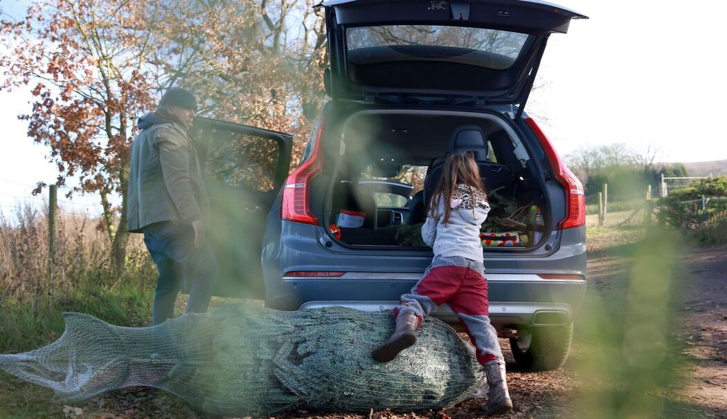 Eine Familie lädt einen Weihnachtsbaum in den Kofferraum