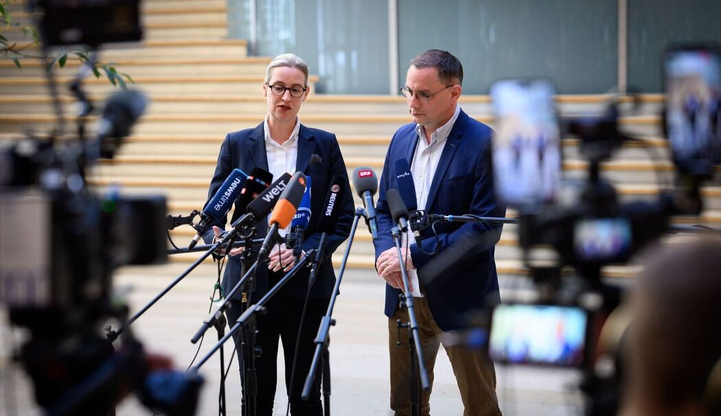 Alice Weidel und Tino Chrupalla