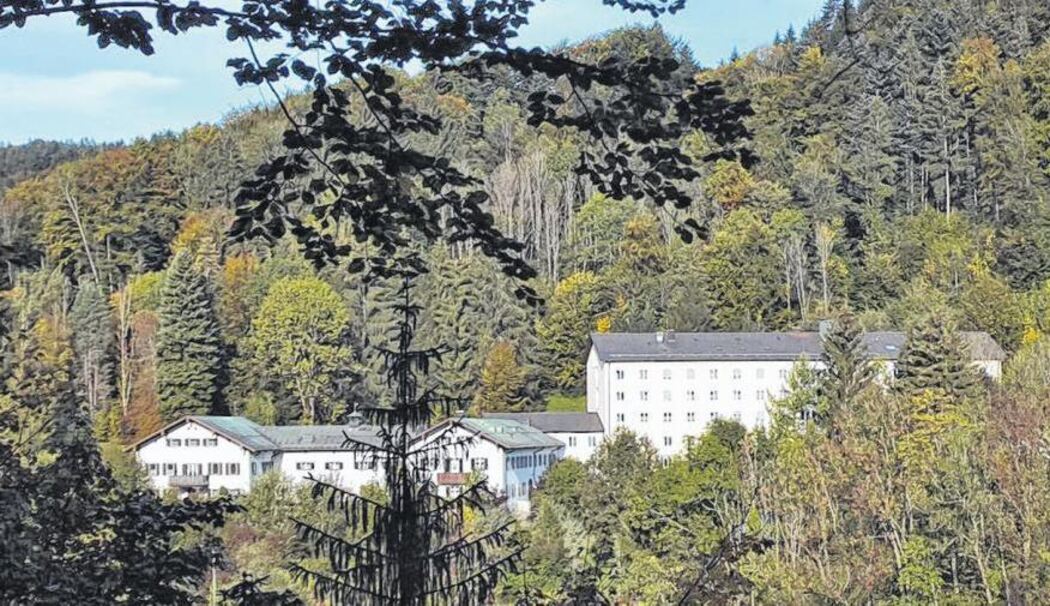 Nachrichten aus Siegsdorf und Traunstein Nachrichten aus Siegsdorf und Traunstein